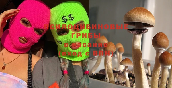 таблы Кукмор